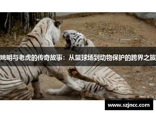 姚明与老虎的传奇故事：从篮球场到动物保护的跨界之旅