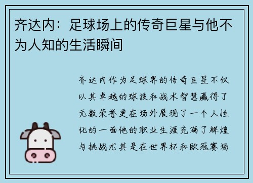 齐达内：足球场上的传奇巨星与他不为人知的生活瞬间