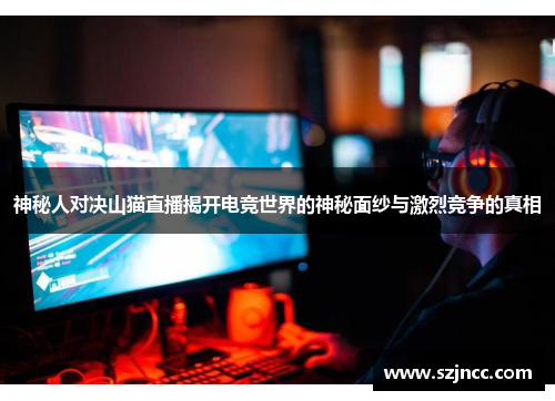 神秘人对决山猫直播揭开电竞世界的神秘面纱与激烈竞争的真相